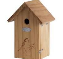 Birdhouse blue tit silhouette