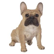 Rl Sitting French Golden Bulldog D - Ornaments - Windyridge Garden Centre