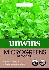 MicroGreens Broccoli