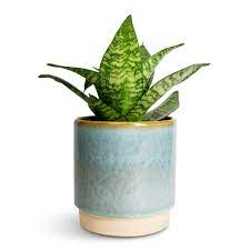 Copenhagen Two Tone Aqua Planter H14cm D13.5cm