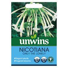 Nicotiana Only The Lonely