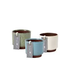 Malibu Succulent Pot - Cream