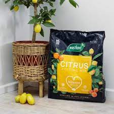 Westland Citrus Potting Mix 10L