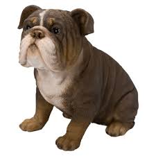 Real Life Tricolour Bulldog D - Ornaments - Windyridge Garden Centre