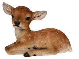 Real Life Fallow Deer F