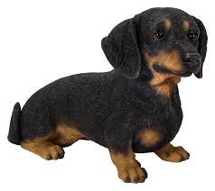 Rl Dachsund Black/Brown Sitting D - Ornaments - Windyridge Garden Centre