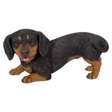 Active Pups Dachshund D - Ornaments - Windyridge Garden Centre