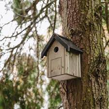 PK Garden Bird Nest Box