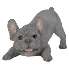 Active Pups Blue French Bulldog D - Ornaments - Windyridge Garden Centre