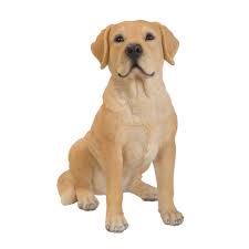Rl Golden Labrador D - Ornaments - Windyridge Garden Centre