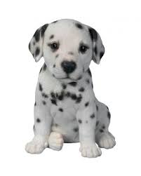 Rl Blue Heeler Puppy D - Ornaments - Windyridge Garden Centre