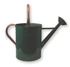 GREEN METAL WATERING CAN 4.5Ltr