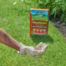 Moss Master 80m2