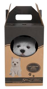 PP West Highland Pup F Box/6