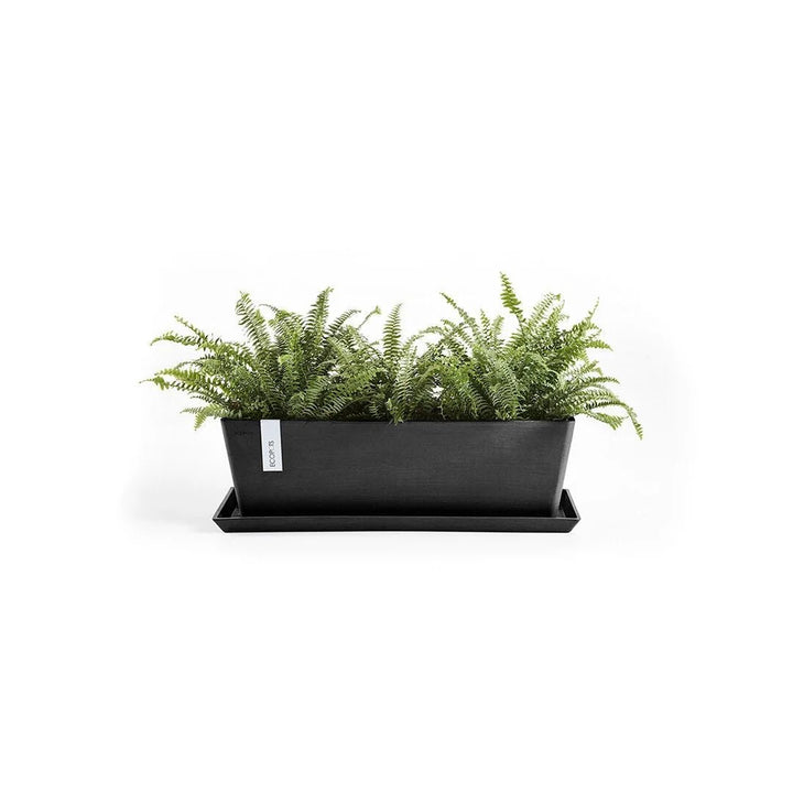 Saucer Rectangular 55 Dark Grey