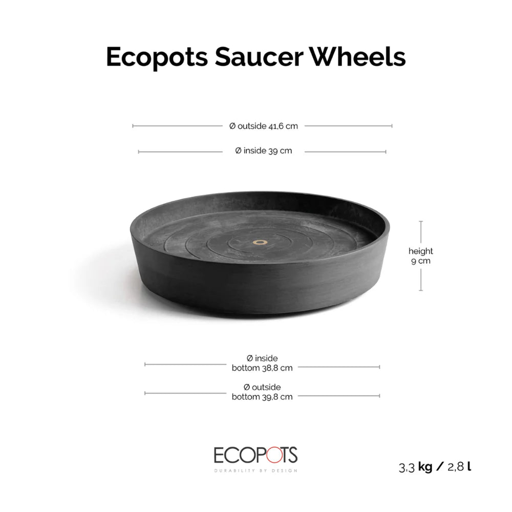 Saucer Oslo Wheels 55 Dark grey