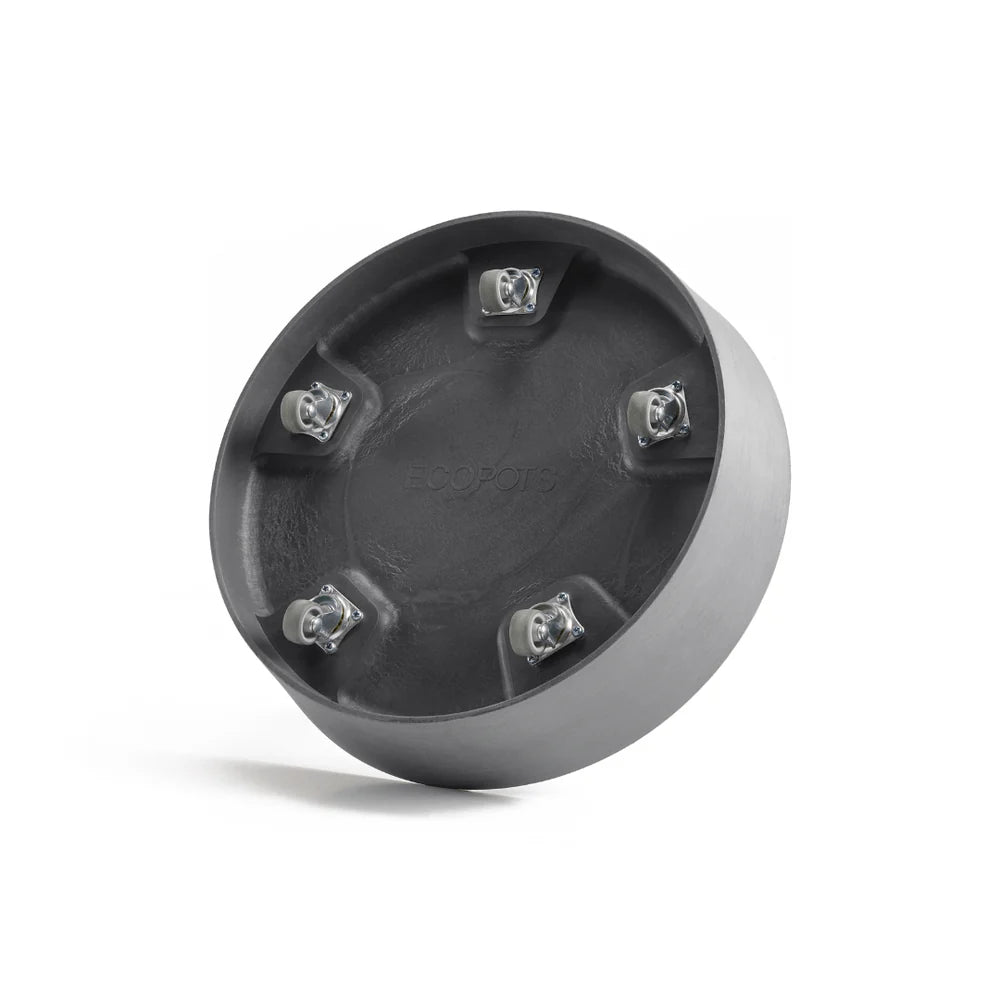 Saucer Wheels 50 Dark Grey