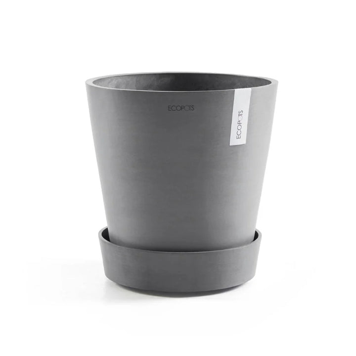 Grey Saucer Wheels 50 - Pots - Windyridge Garden Centre