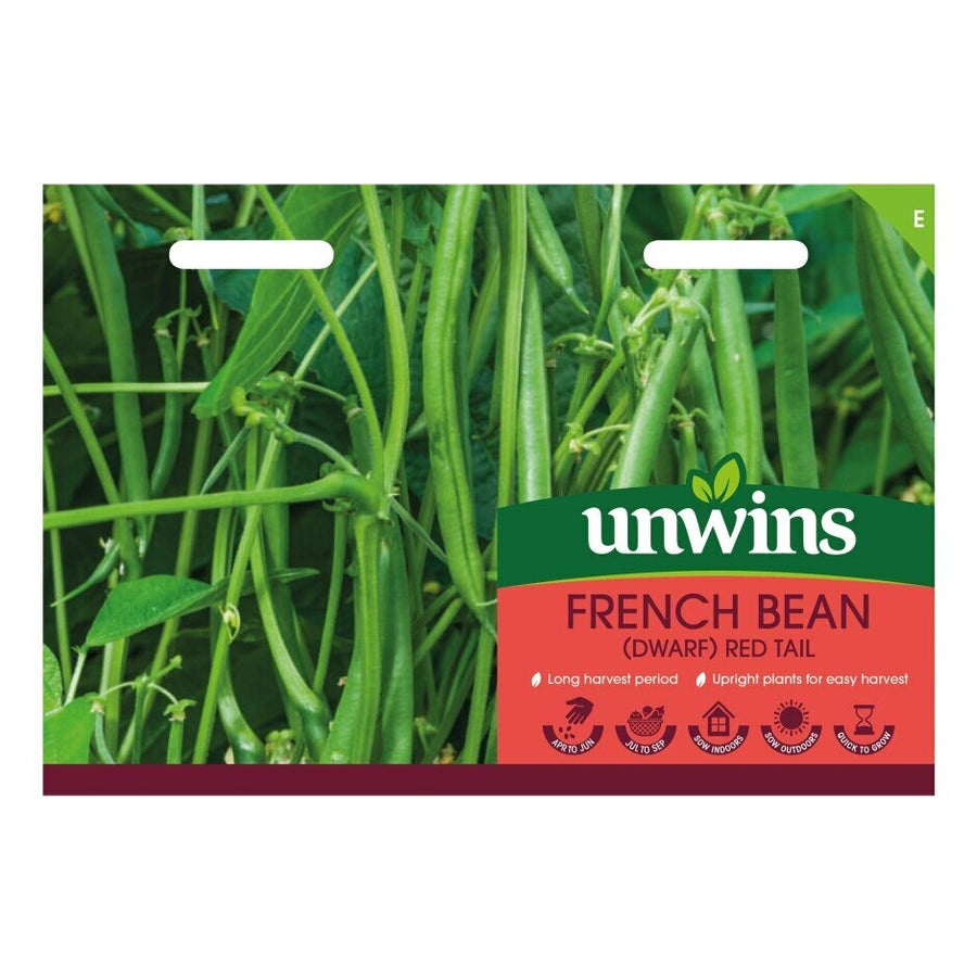 French Bean (Dwarf) Red Tail - Seed Packets - Windyridge Garden Centre