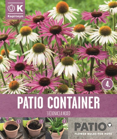 Garden Container Pack Echinacea - Sorbet Shades 3 - Bulbs - Windyridge Garden Centre