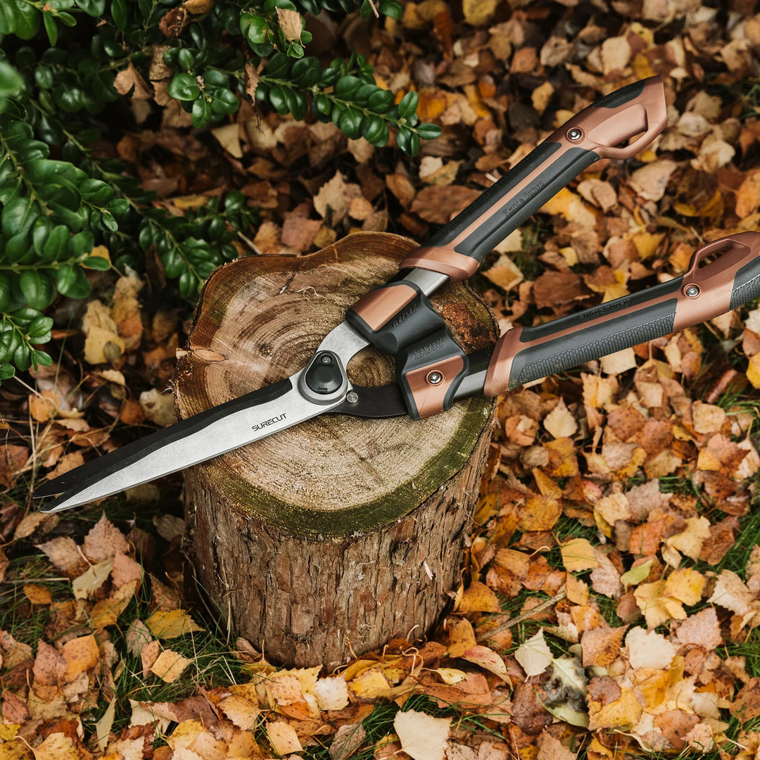 Box Shears KS Garden Life