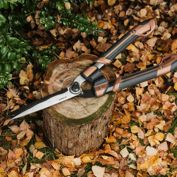 Box Shears KS Garden Life