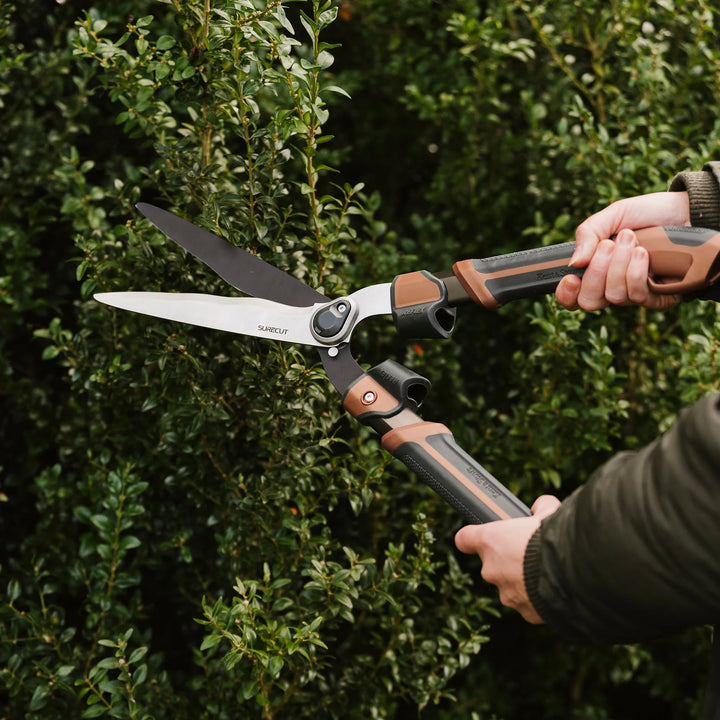 Box Shears KS Garden Life