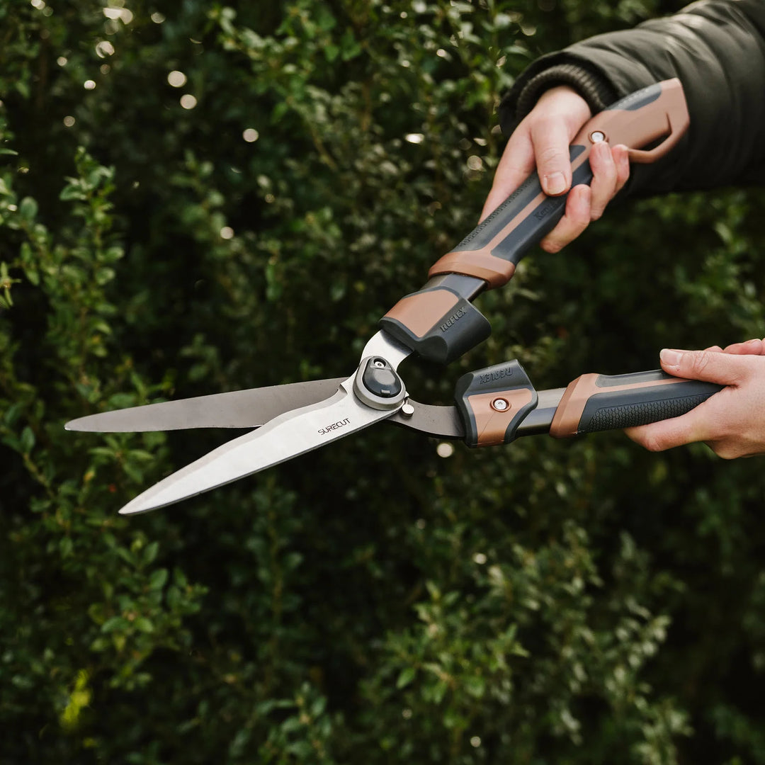Box Shears KS Garden Life