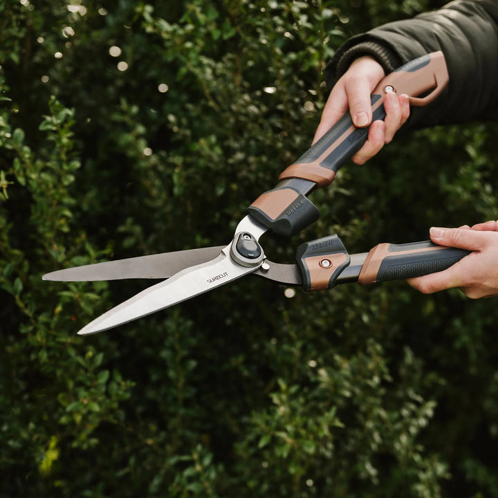 Box Shears KS Garden Life