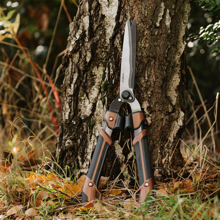 Box Shears KS Garden Life