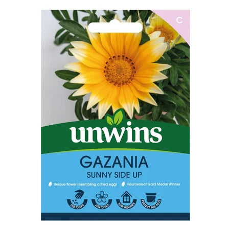Gazania Sunny Side Up