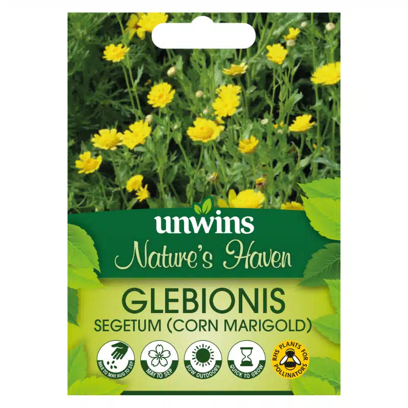 Nh Glebionis (Corn Marigold) - Seeds - Windyridge Garden Centre