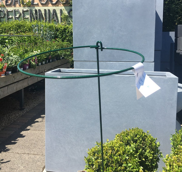 Summer Bulbs Landing