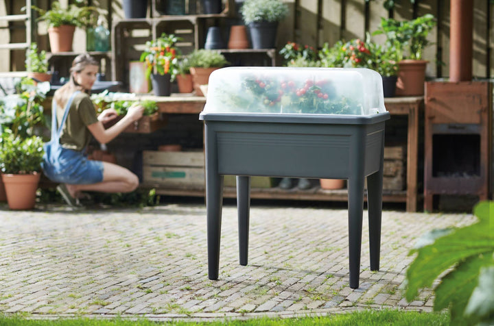 Green Basics Grow Table Super XXL Living Black