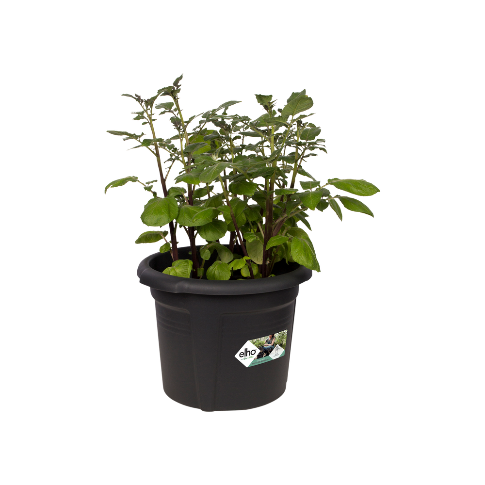 Green Basics Potato Pot Ø33cm Living Black