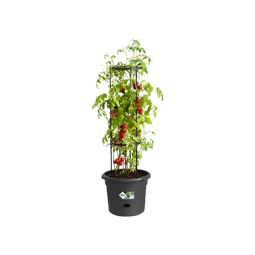 Green Basics Tomato Pot Ø33cm Living Black