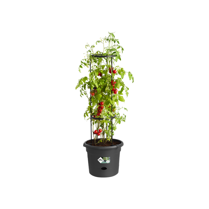 Green Basics Tomato Pot Ø33cm Living Black