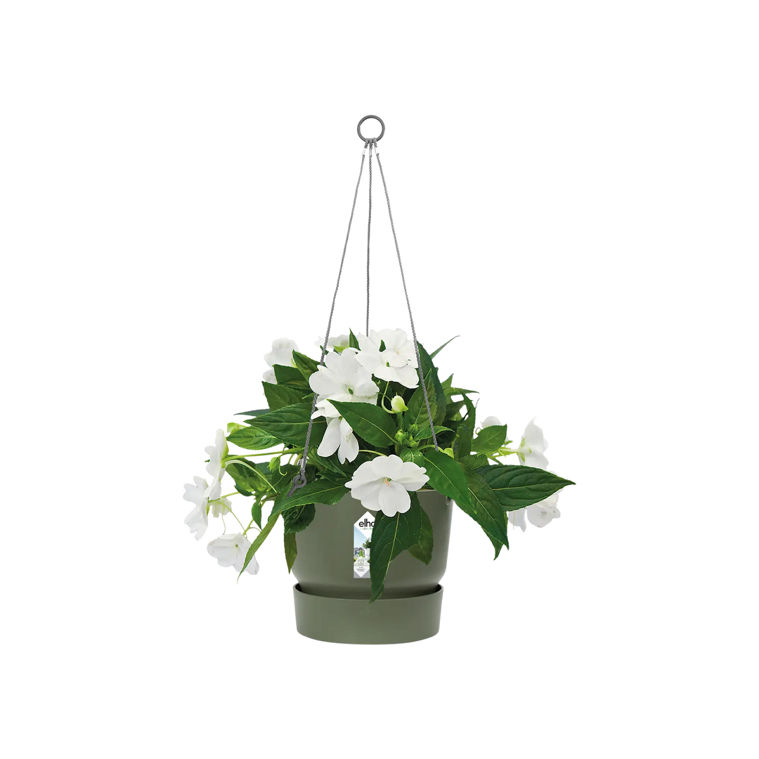 Greenville Hanging Basket 24Cm Leaf Green - Pots - Windyridge Garden Centre