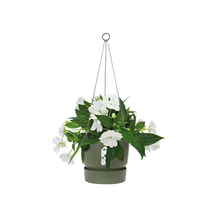 Greenville Hanging Basket 24Cm Leaf Green - Pots - Windyridge Garden Centre