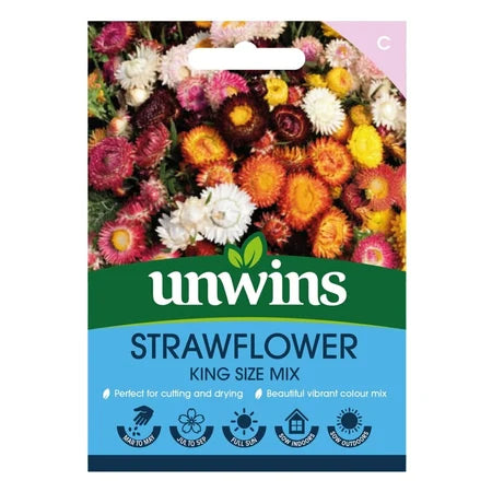 Helichrysum Straw Flower King Size Mix - Seed Packets - Windyridge Garden Centre