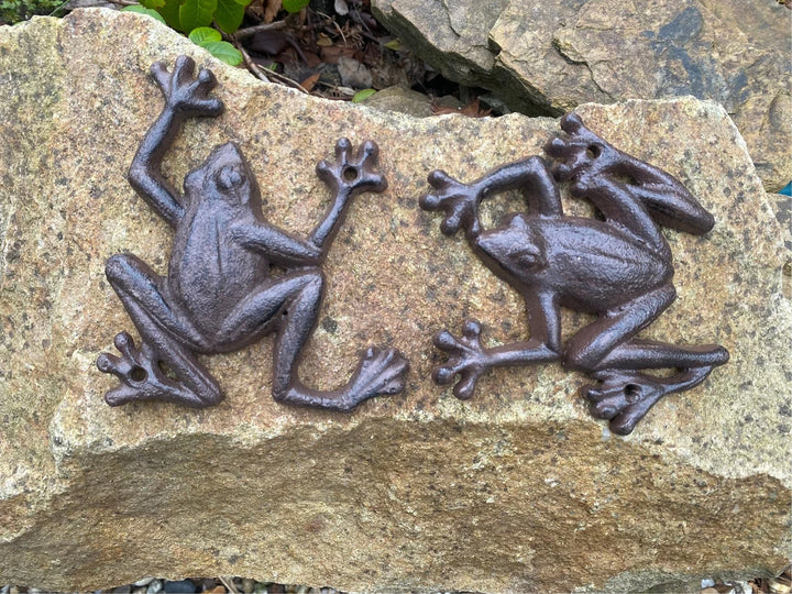 Frog Wall decoration