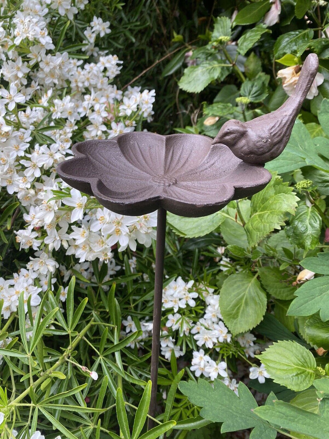 Flower Cast Iron BB 641492000708