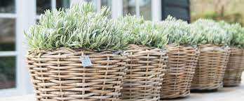 Basket Rattan Pot Round Grey Ø36cm H35cm