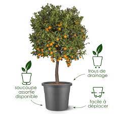 Algarve Cilindro Anthracite Ø40cm