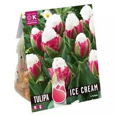 PREMIUM TULIP ICE CREAM x 8