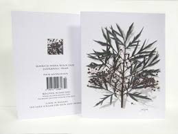 Irish Cards Jacinta Hughes