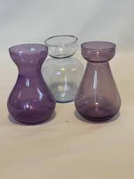 Hyacinthus Carafe Purple - Pots - Windyridge Garden Centre