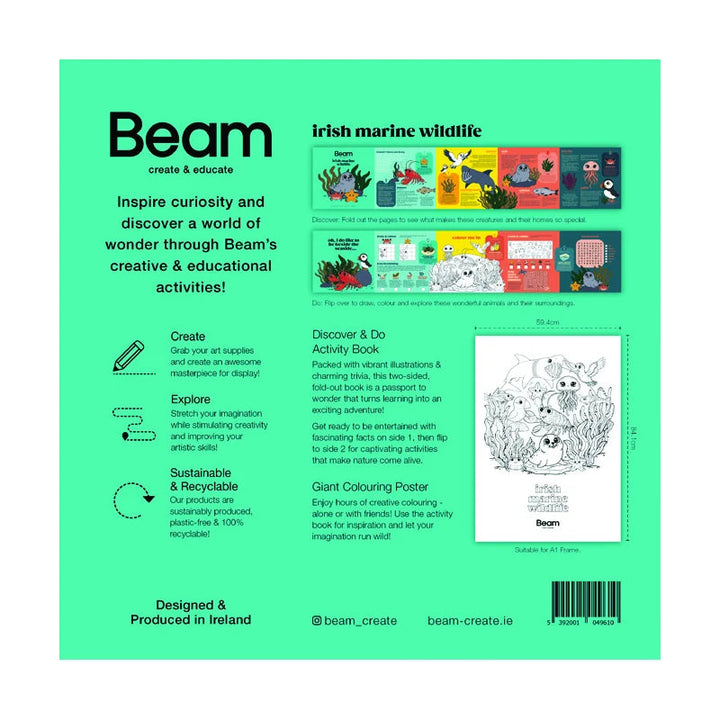 Back of the Irish Marine Wildlife activity set