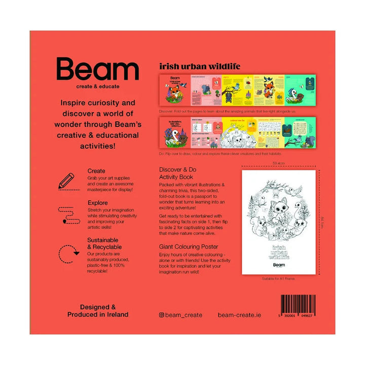 Back of the Irish Urban Wildlife activity set
