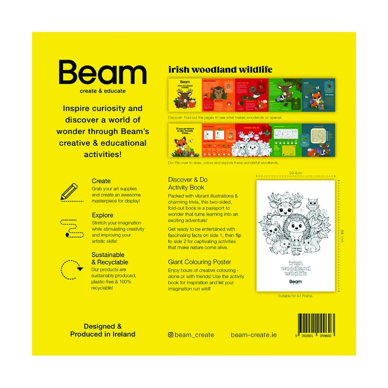Back of the Irish Woodland Wildlife activity set